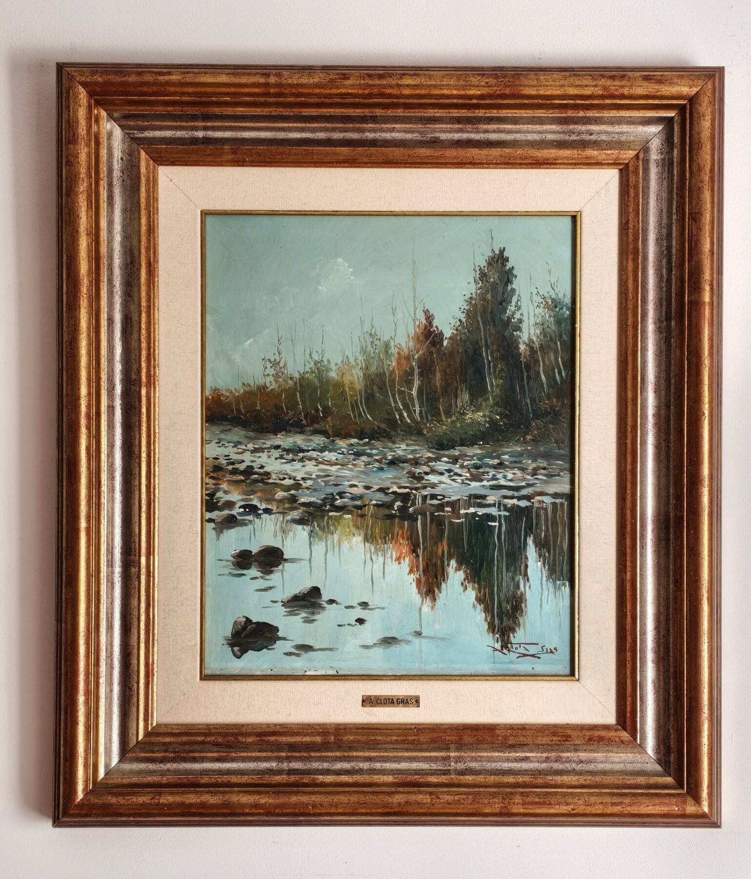 Reflejos en el río
