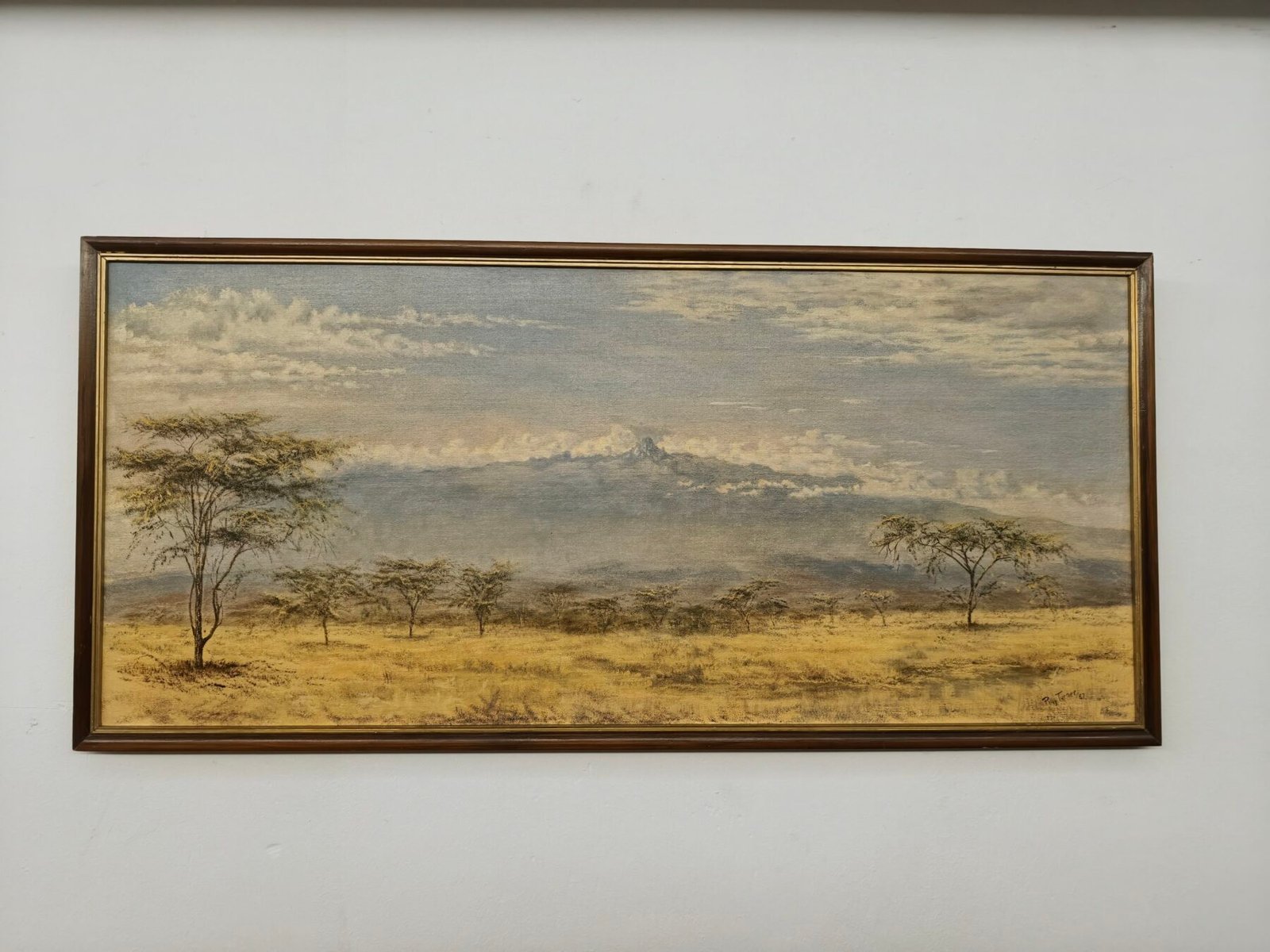 Monte Kenia desde la sabana